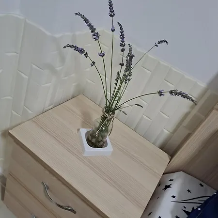דירה Beach Apartment גולם