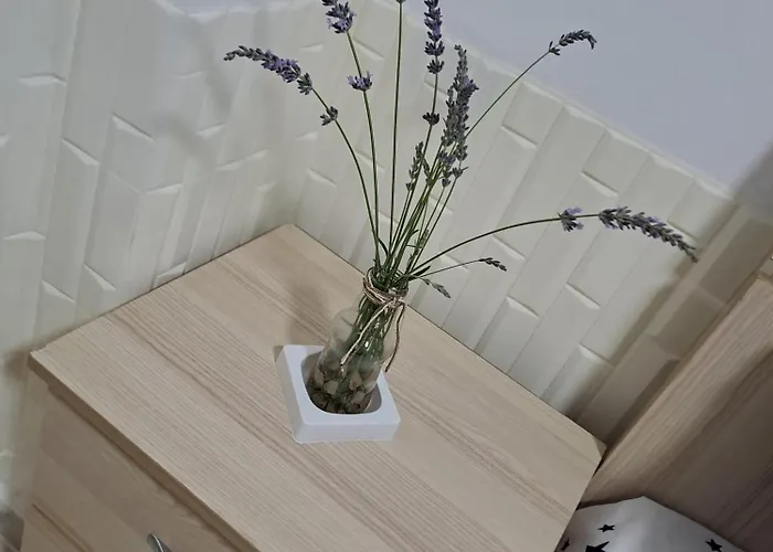 Lejlighed Beach Apartment Golem (Tirana)